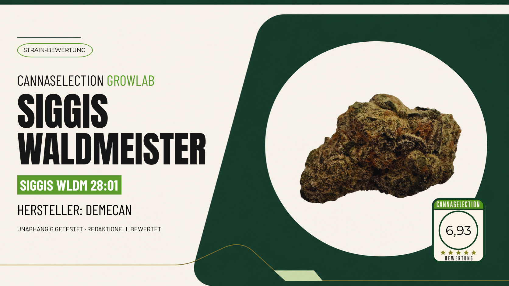 Siggis Waldmeister Blüte im CannaSelection Sortentest